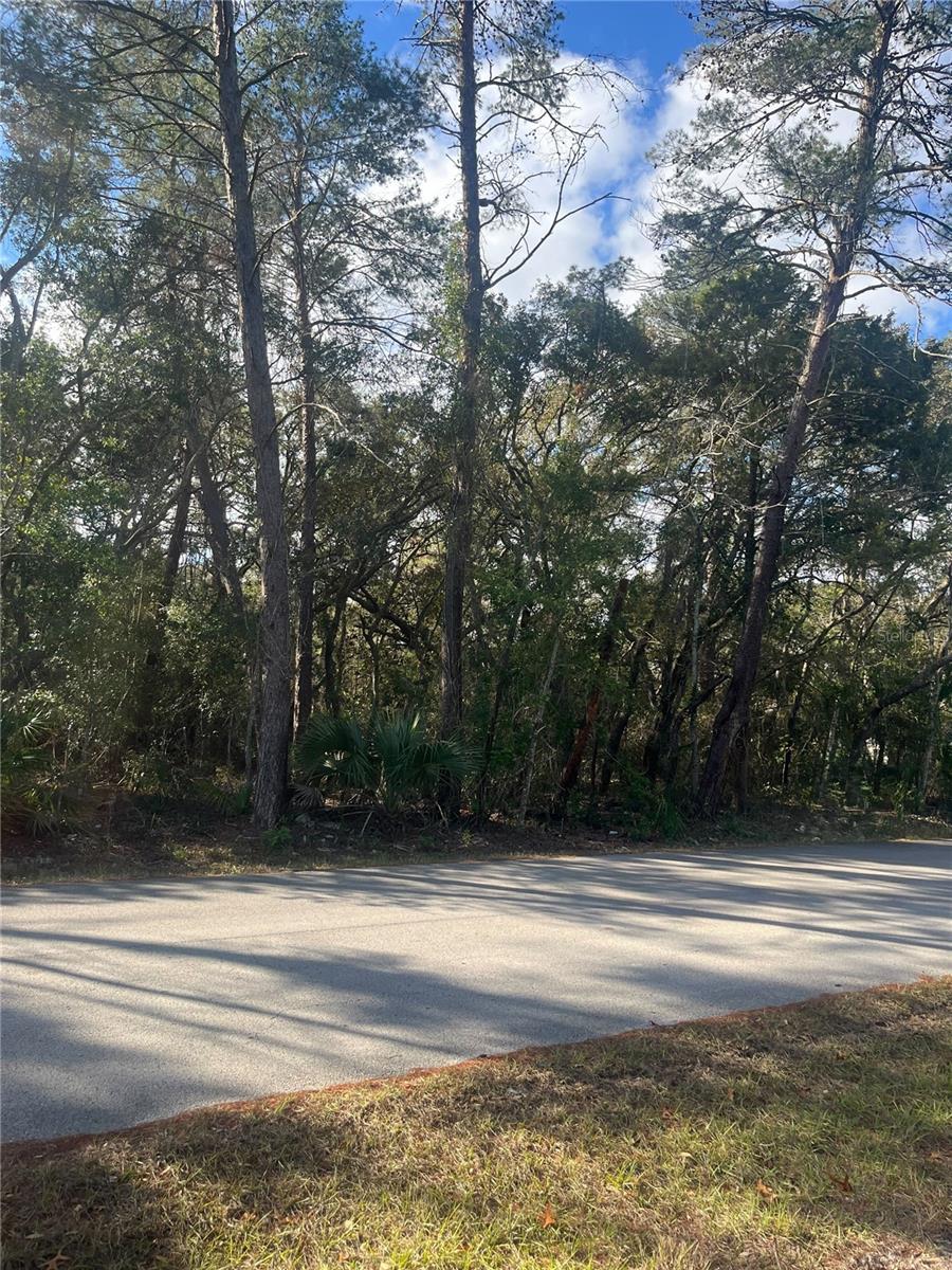 BERKELEY TOWNSITE OF - Land