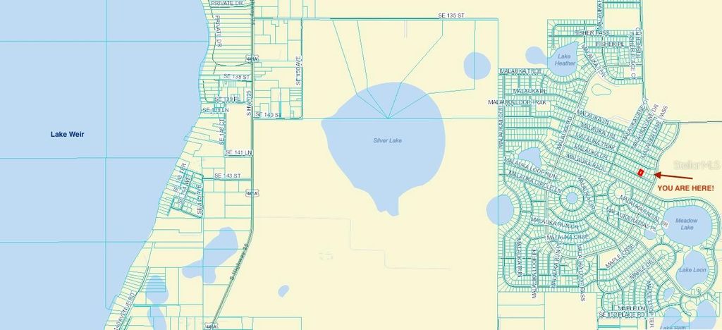 Photo of 61 Malauka Drive, Ocklawaha, FL 32179 (MLS # OM705288)