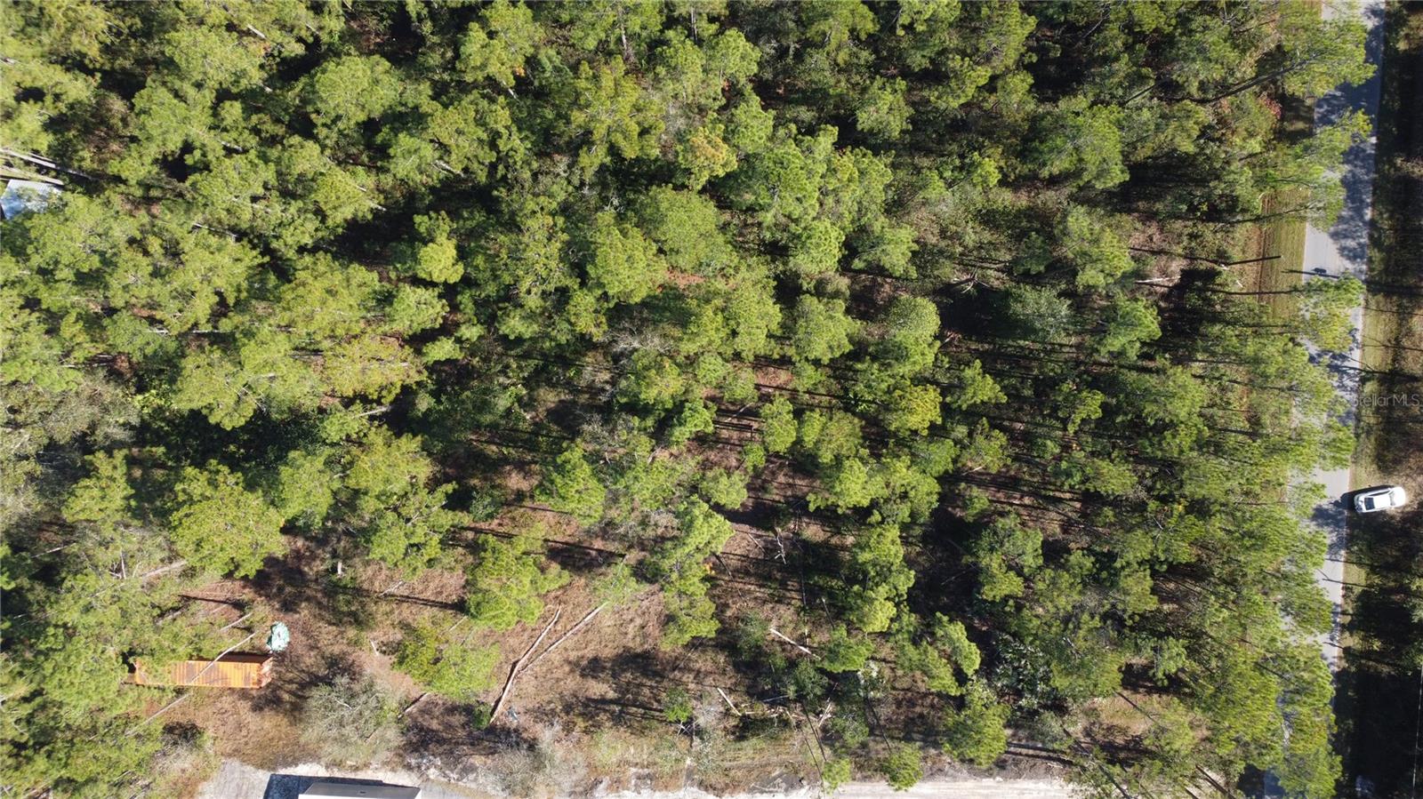 FLAGLER ESTATES TR 217 218 UN - Land