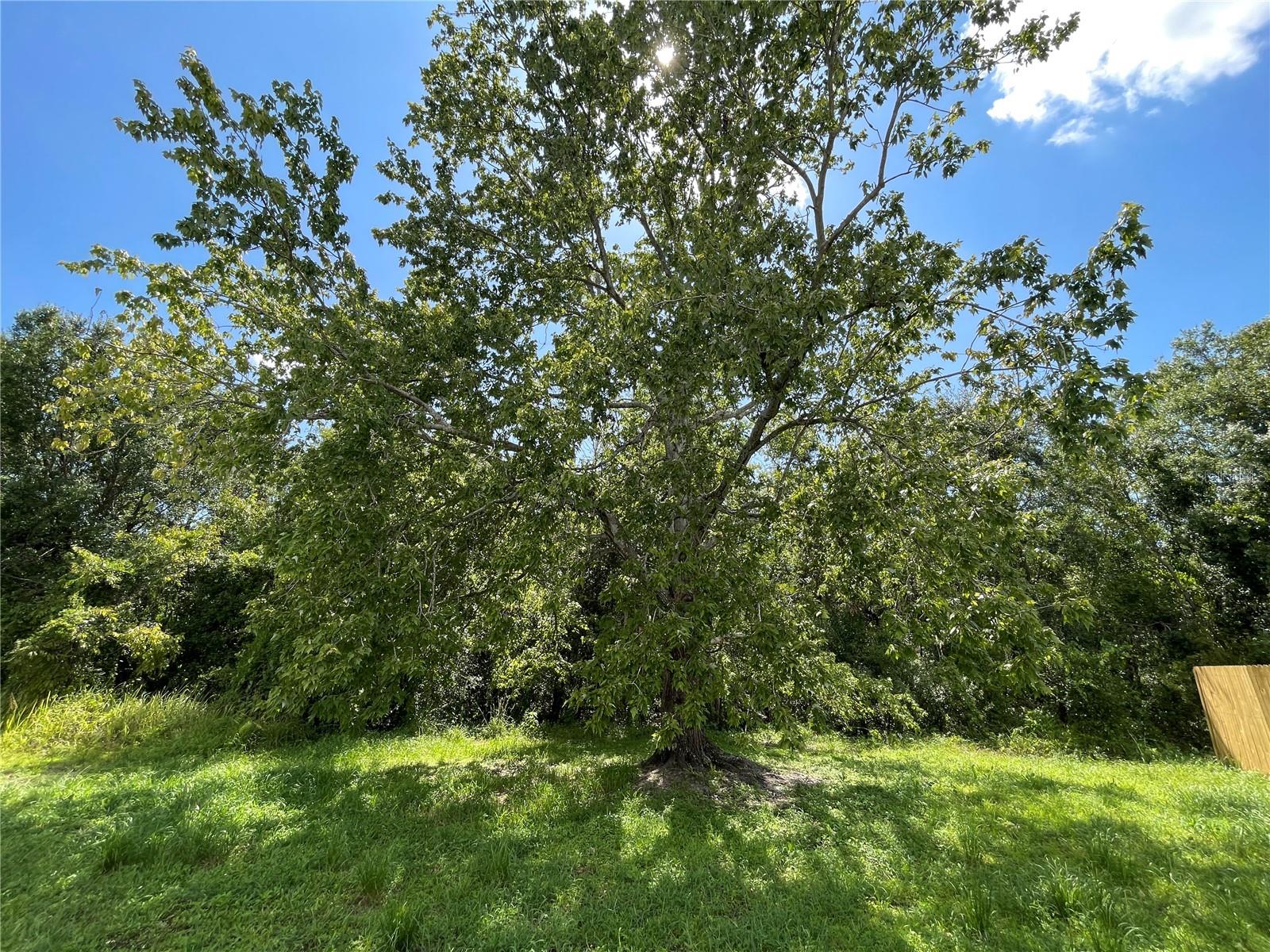 BLOOMINGDALE HILLS SEC B U - Residential Lease