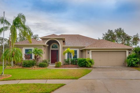 A home in RIVERVIEW