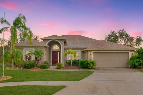 A home in RIVERVIEW