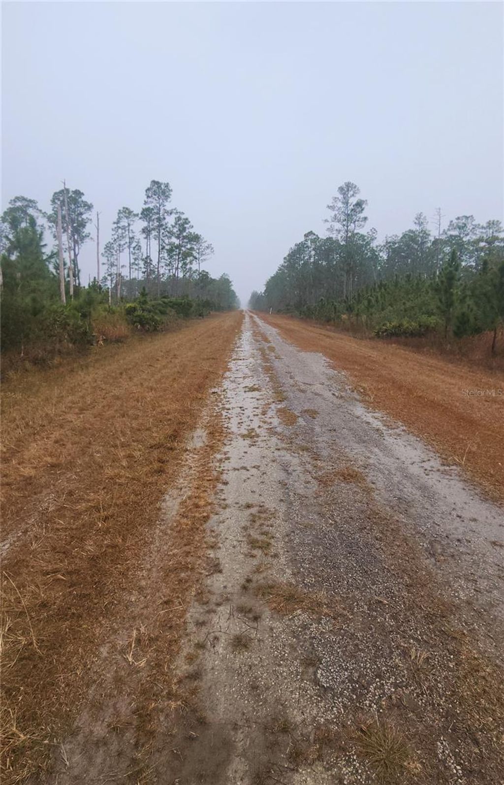 Photo of 619 Calendula Drive, Indian Lake Estates, FL 33855 (MLS # P4933452)