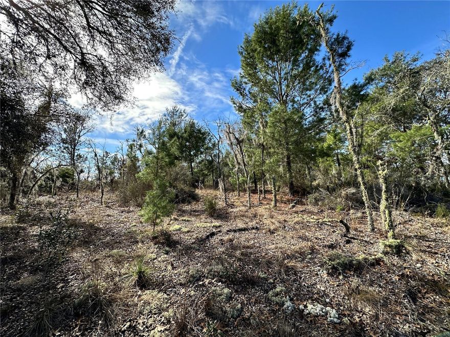 WILLISTON HIGHLANDS GOLF & COUNTRY CLUB 1/4 ACRE BUILDING LOT! A quarter acre (mol) in Williston Highland Golf & Country Club Estates subdivision has enough space to truly enjoy privacy, outdoor living, and future possibilities without the burden of maintaining a large property. Lot measures about 80' on the road and 125' deep. It’s the ideal size to build a comfortable home, create a backyard retreat, and still have room to grow, making it a smart investment and a place you’ll love long-term.