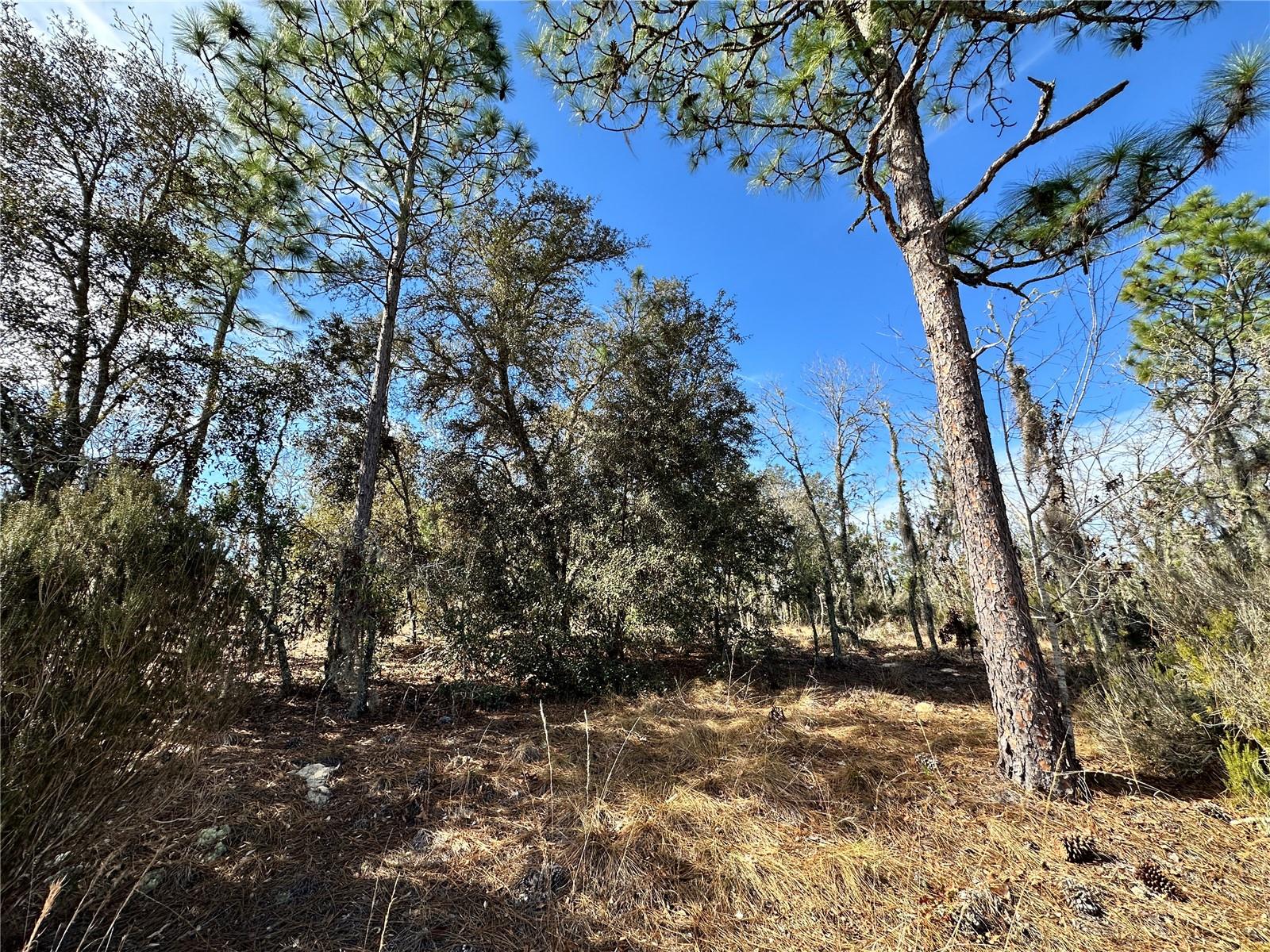 WILLISTON HYLNDS GOLF & C CLUB ESTATE - Land