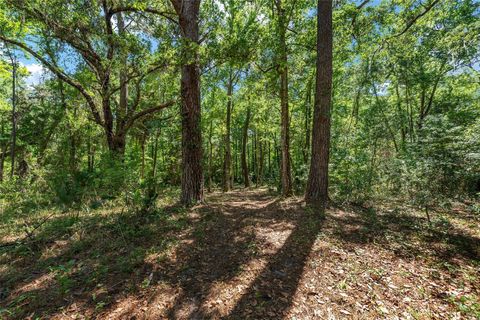 Tiny photo for 15120 SE 85th Street, Ocklawaha, FL 32179 (MLS # OM723291)