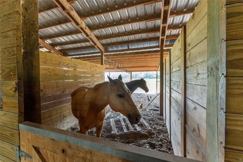 Tiny photo for 15120 SE 85th Street, Ocklawaha, FL 32179 (MLS # OM723291)