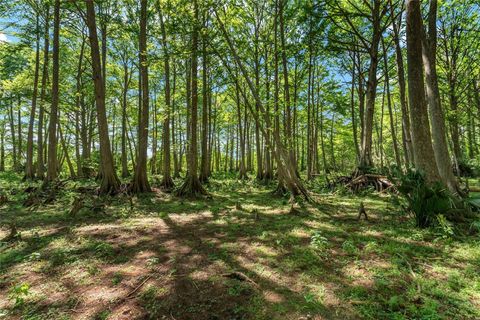 Tiny photo for 15120 SE 85th Street, Ocklawaha, FL 32179 (MLS # OM723291)