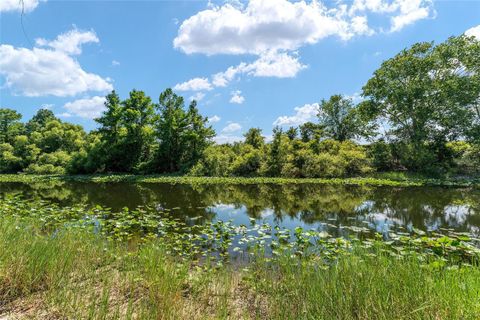Tiny photo for 15120 SE 85th Street, Ocklawaha, FL 32179 (MLS # OM723291)