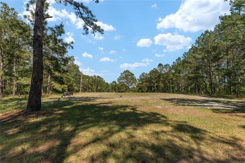 Tiny photo for 15120 SE 85th Street, Ocklawaha, FL 32179 (MLS # OM723291)