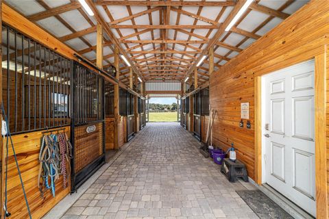 Tiny photo for 16050 NW 10th Circle, Citra, FL 32113 (MLS # OM711896)