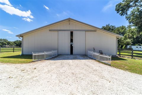 Tiny photo for 16050 NW 10th Circle, Citra, FL 32113 (MLS # OM711896)