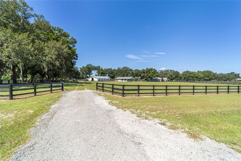 Tiny photo for 16050 NW 10th Circle, Citra, FL 32113 (MLS # OM711896)