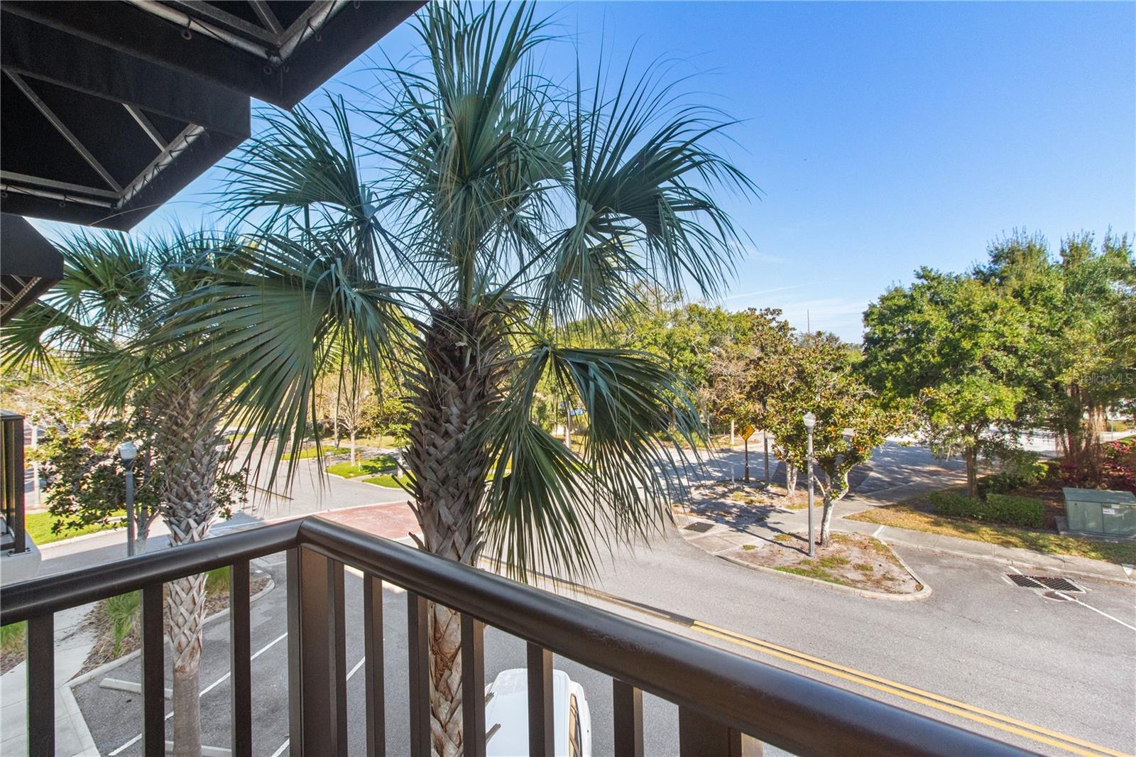 OLDSMAR GALLERIA CONDO - Residential Lease