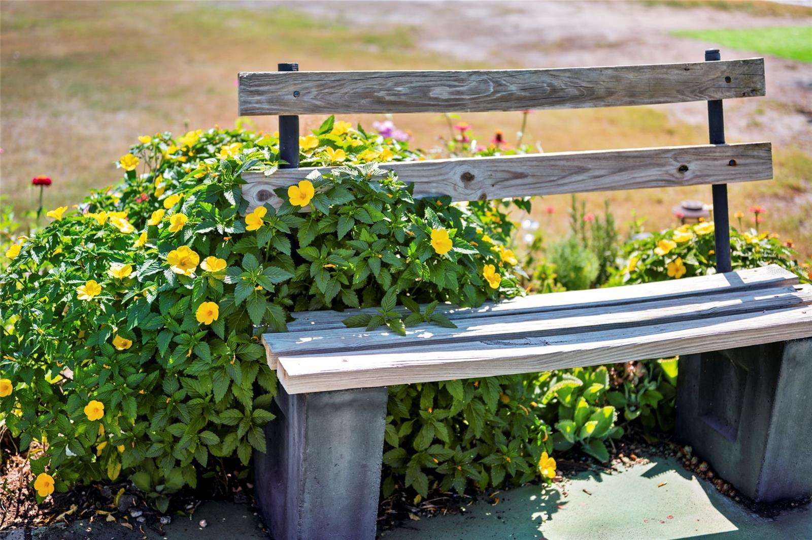 DEL WEBBS SUN CITY FLORIDA UN - Residential