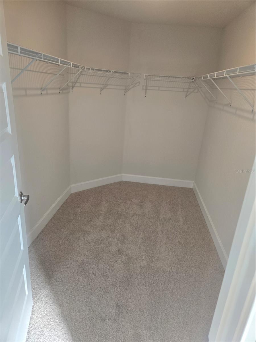 WYLD PALMS - Residential