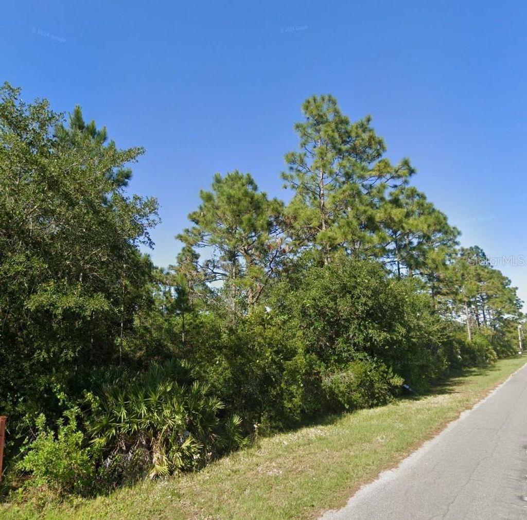 Photo of 19665 Ralston Street, Orlando, FL 32833 (MLS # O6381686)