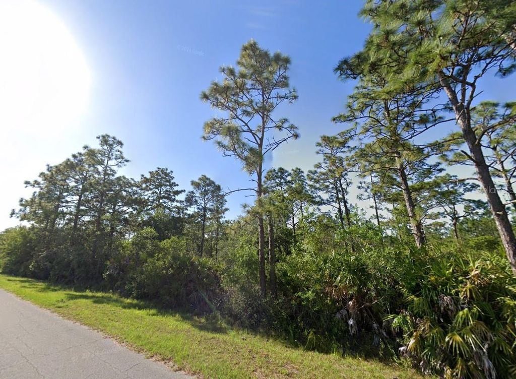 Photo of 19665 Ralston Street, Orlando, FL 32833 (MLS # O6381686)