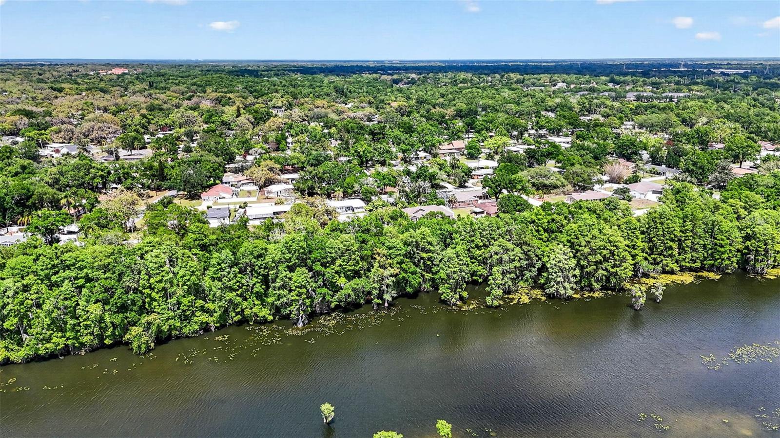 TEMPLE TERRACE RIVERSIDE SUB - Residential