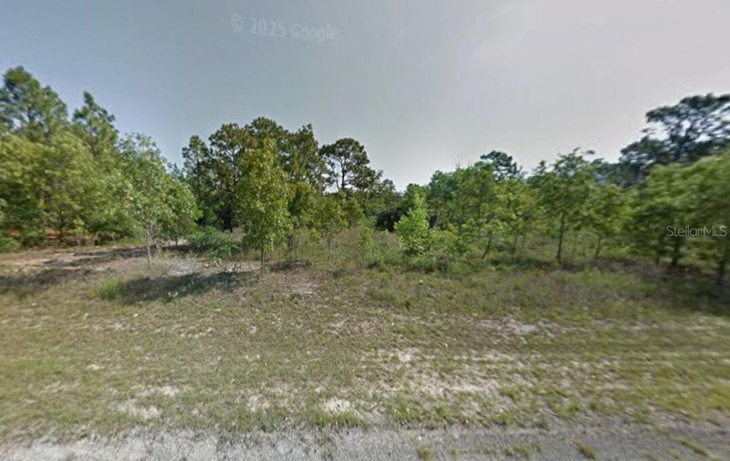 Photo of 8881 N Vienna Drive, Dunnellon, FL 34433 (MLS # A4682613)