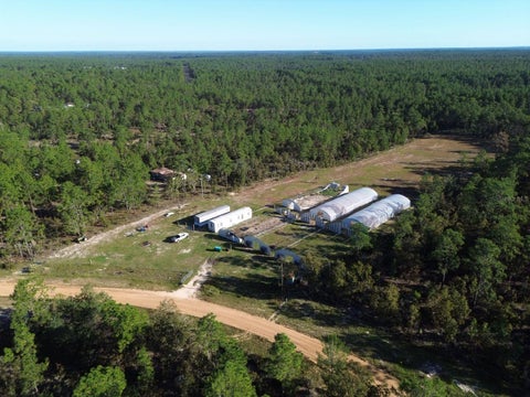 Photo of 230 Cessna Way, Hawthorne, FL 32640 (MLS # GC543705)
