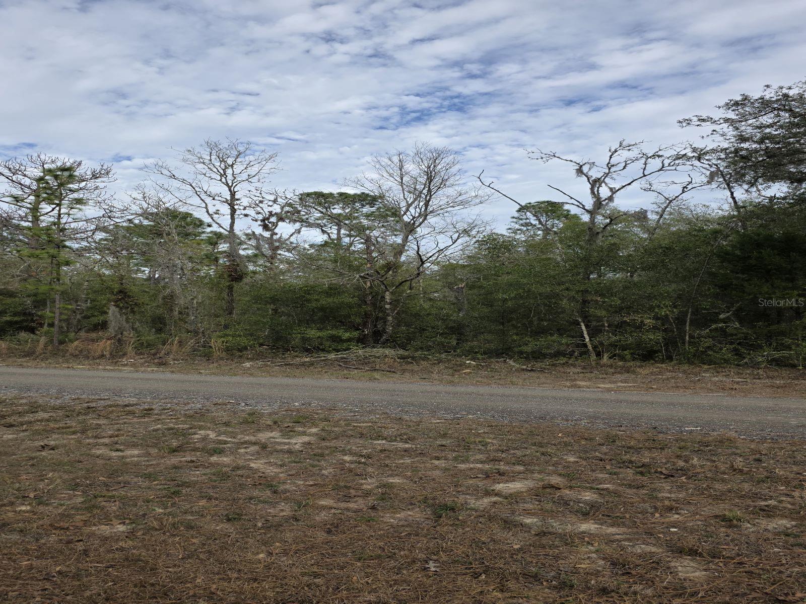 RAINBOW PARK UN 01 - Land