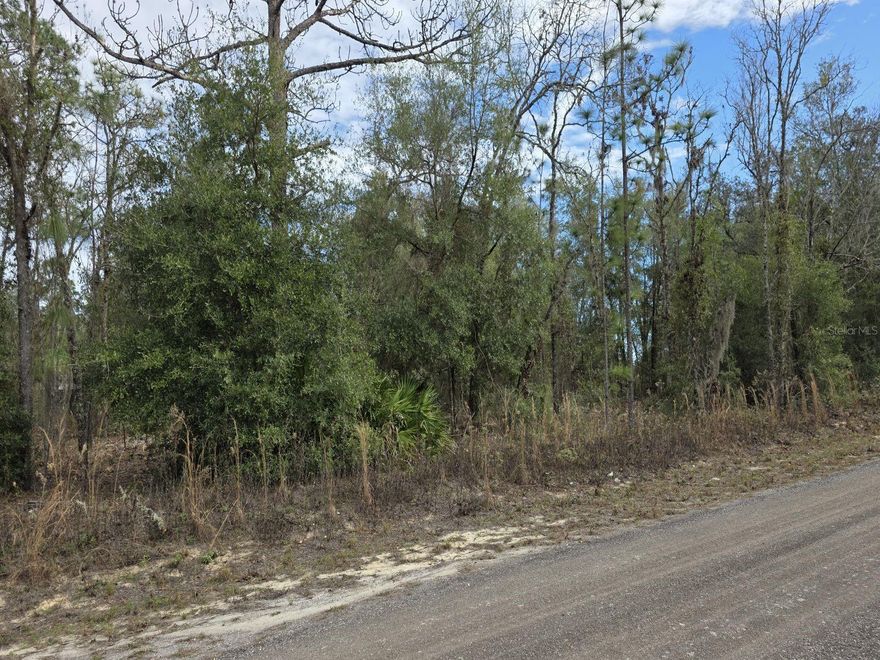 Build your dream house in beautiful Ocala, Florida. Flat 75 ft x 135 ft lot. High and dry.  Septic needed. Adjacent lot also for sale- buy both for more space or investment potential.