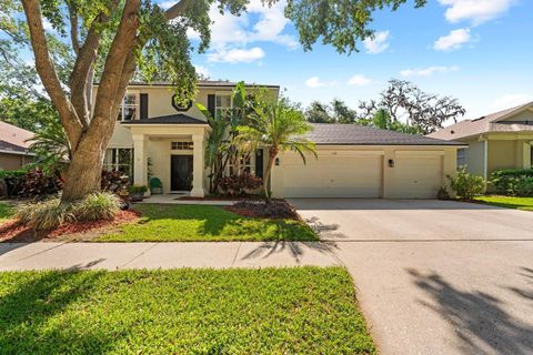 1133 SPLIT SILK STREET VALRICO FL 33594