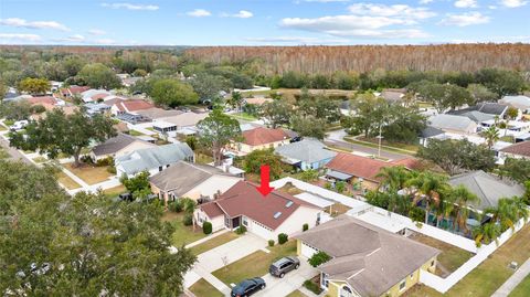 A home in TAMPA