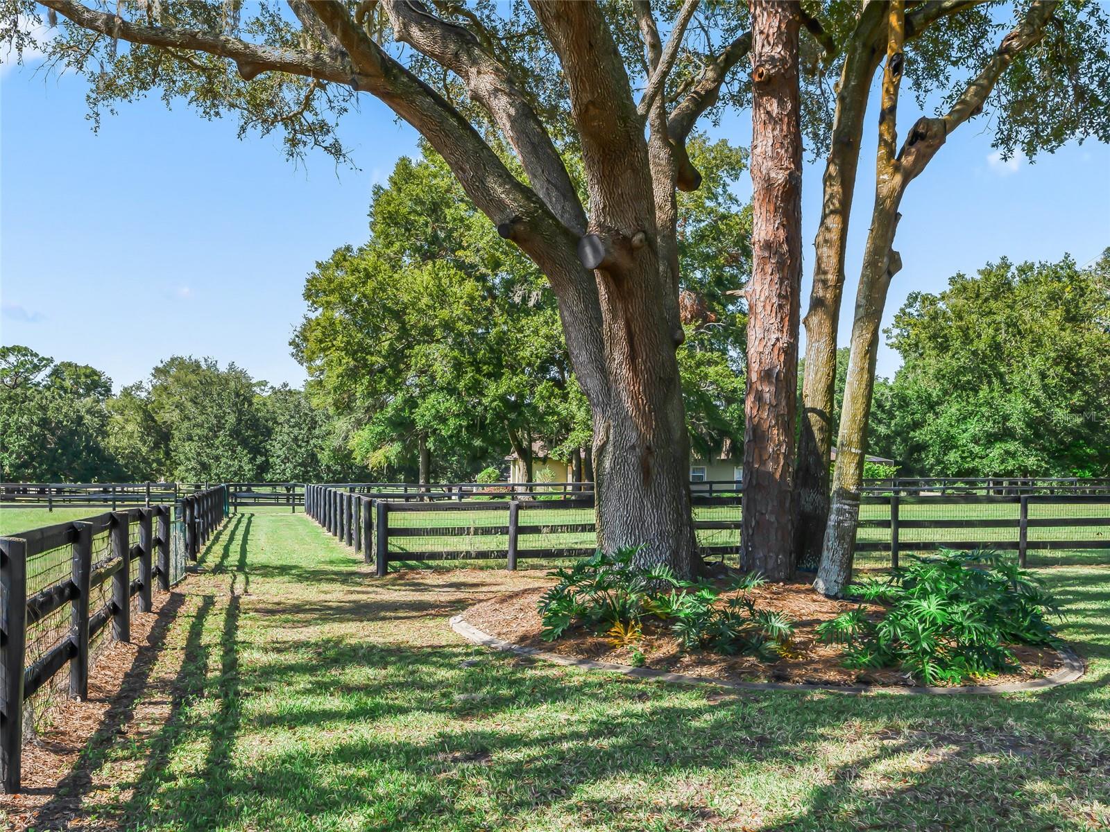 SADDLEBROOK EQUESTRIAN PARK - Residential