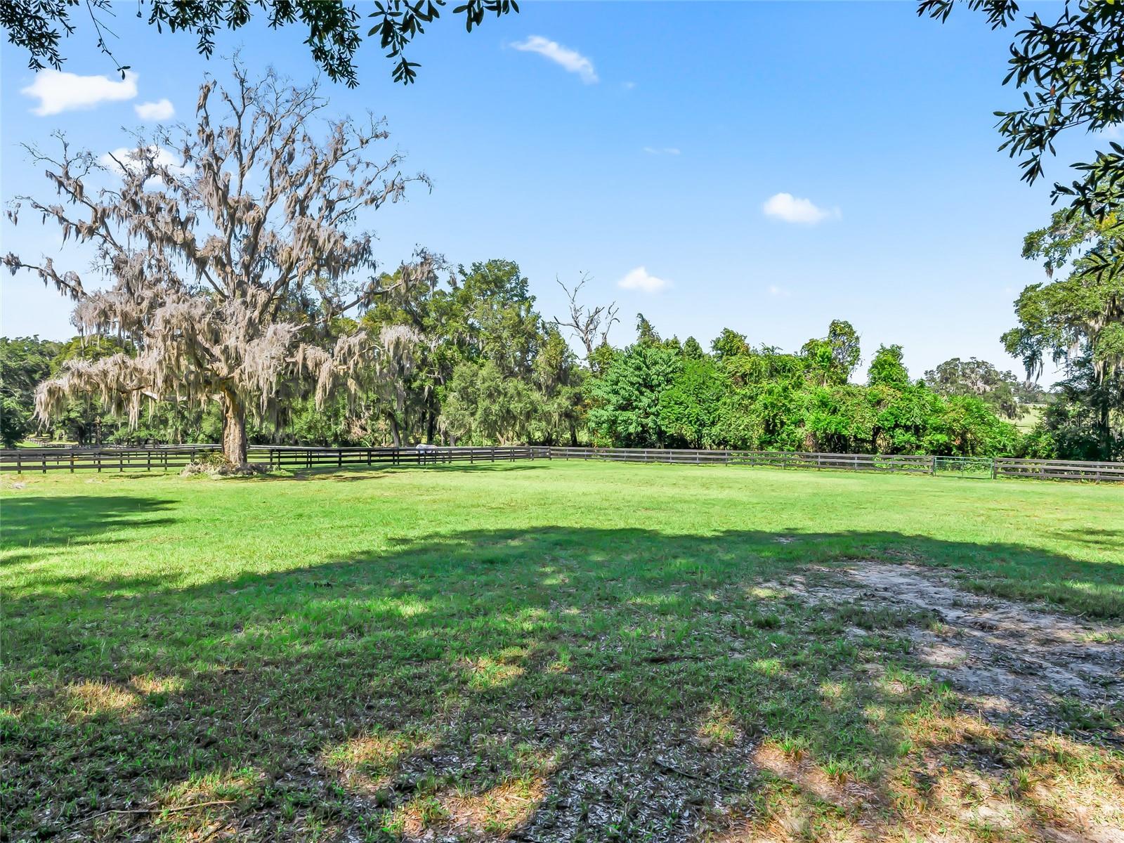 SADDLEBROOK EQUESTRIAN PARK - Residential