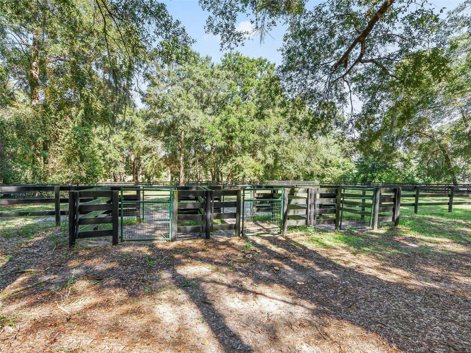 SADDLEBROOK EQUESTRIAN PARK - Residential