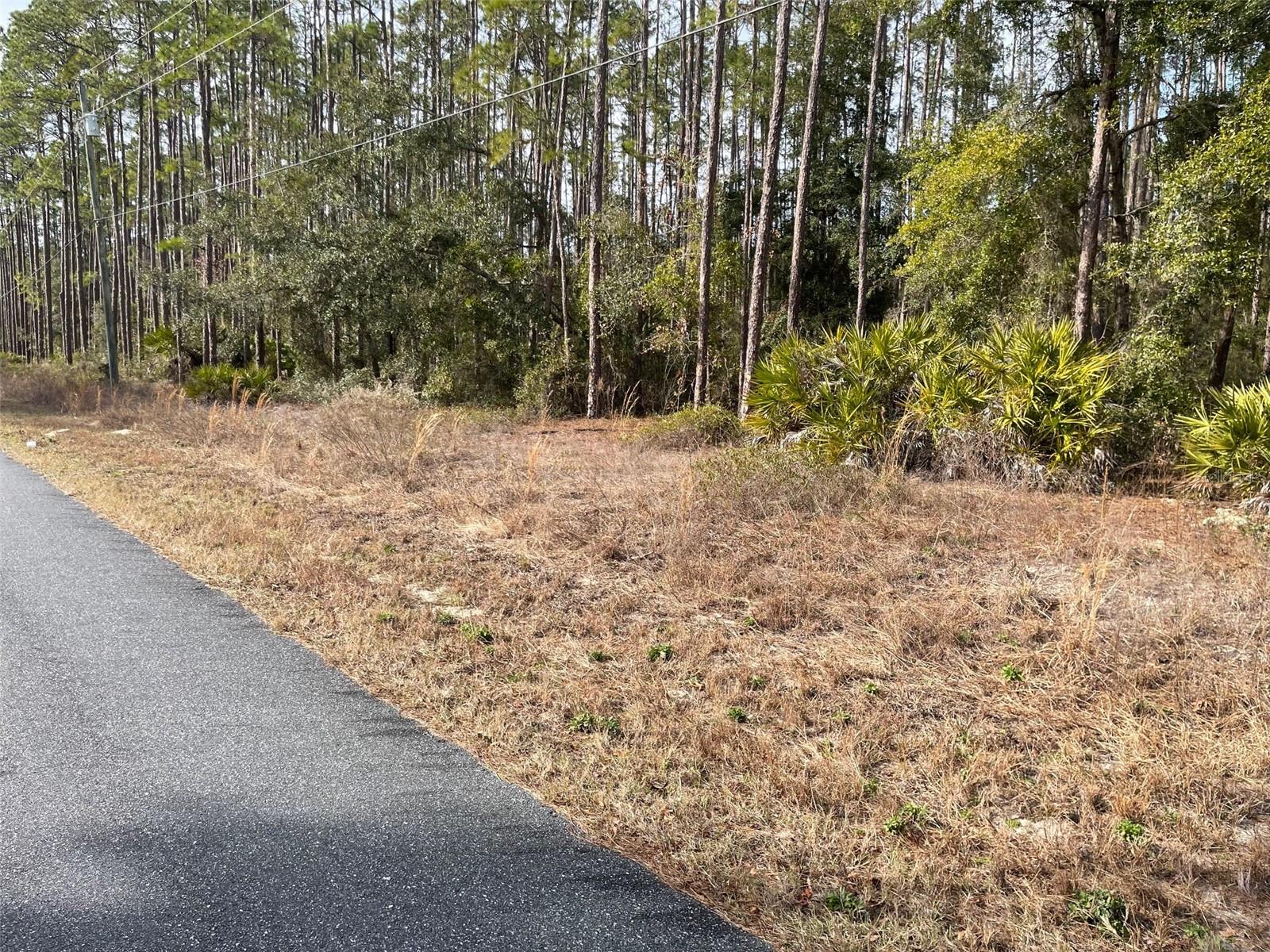 RAINBOW LAKES ESTATES - Land