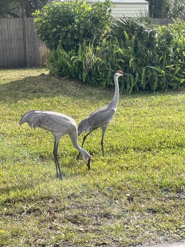 ST JOHNS RIVER ESTATES UNIT 01 - Land