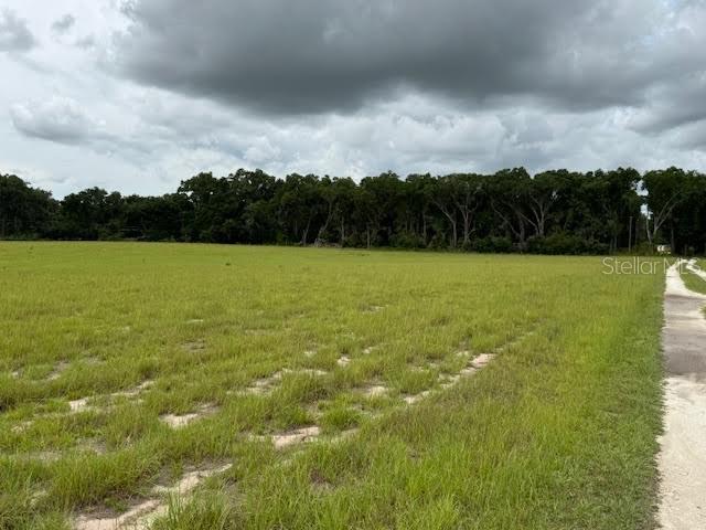 JAX ROAD RANCHES LL - Land