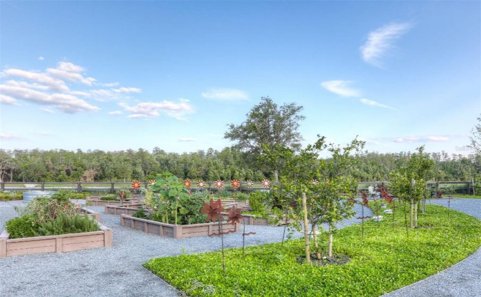 LAUREATE PARK - Residential