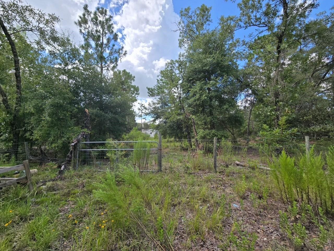Located in Bronson, this lot is an easy commute to Gainesville, UF, hospitals as well as many recreational places. This is a corner lot in a rural setting. Mobile home or site-built homes are allowed. Additional one-acre lot is adjacent to this one. Same price. Parcel #12251-00000.