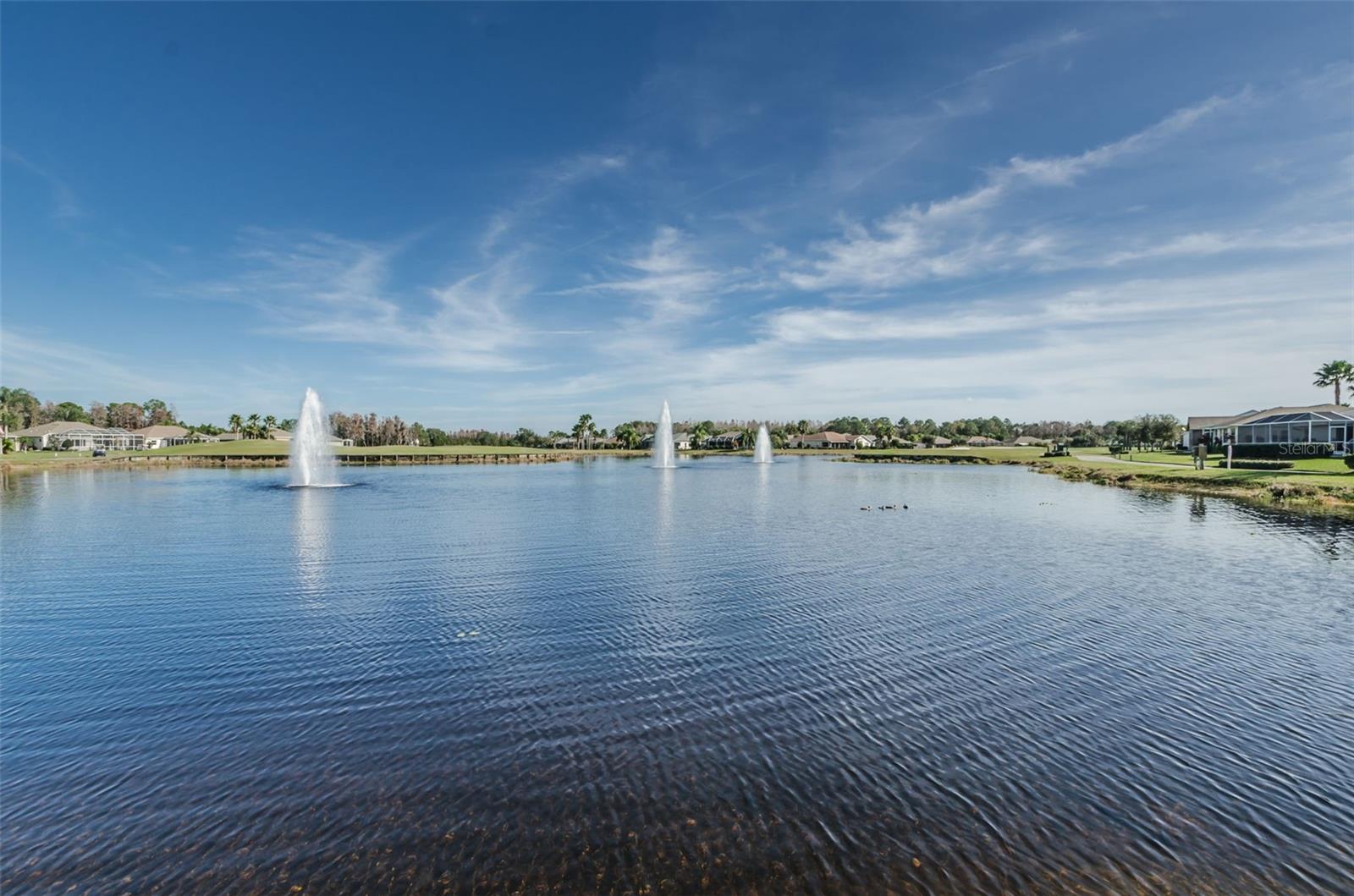 HERITAGE SPGS VILLAGE 20 - Residential
