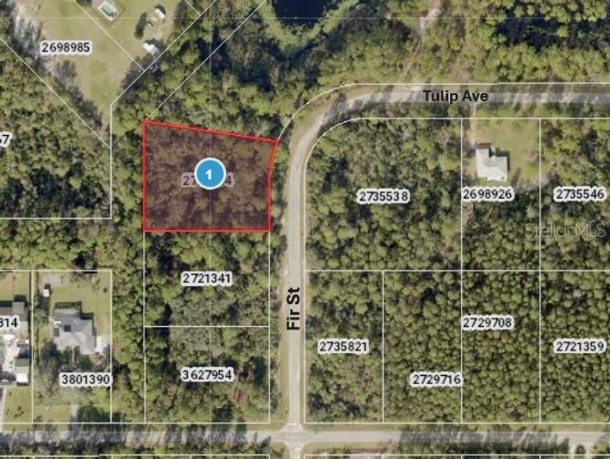 1 acre lot in Royal Trails. Great community with just the right amount of rules. No manufactured homes and only $80 per year HOA fees. Use any builder and build anytime you want. Great for builders/investors or anyone who wants a ready to build lot. Community is surrounded by Seminole State Forest. Come live in the country with the deer and the turkeys. Have just the right amount of land for privacy and affordability, but still easy enough to maintain whatever part of the lot you want to keep landscaped. Front of subdivision is 12 minutes from Publix and 12 minutes from Wekiva Parkway/SR429. Community boat ramp/dock onto Lake Norris, which is semi-private, 1,200 acre Lake with no public boat ramp for motorized boats. 15 minutes to Ed Stone Public Boat ramp into St Johns River.