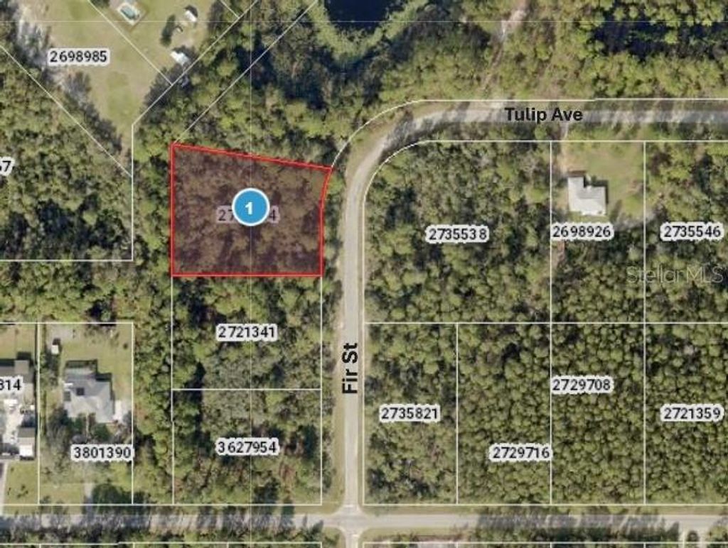 Photo of Fir Street, Eustis, FL 32736 (MLS # G5105627)
