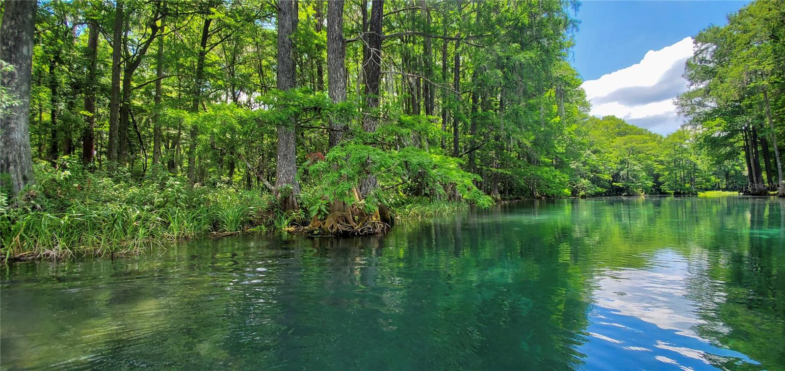 RAINBOW SPRINGS 5TH REPLAT - Residential