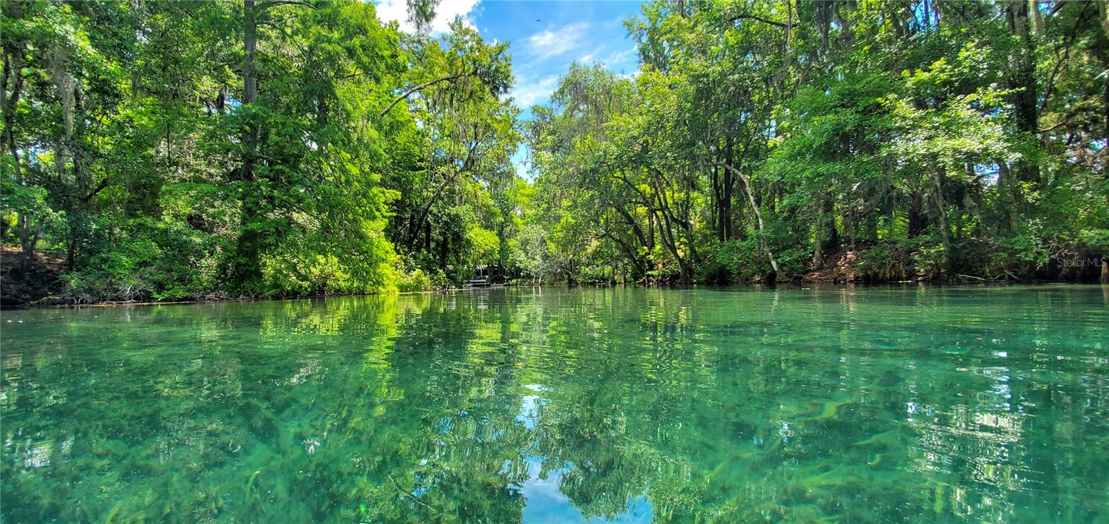 RAINBOW SPRINGS 5TH REPLAT - Residential