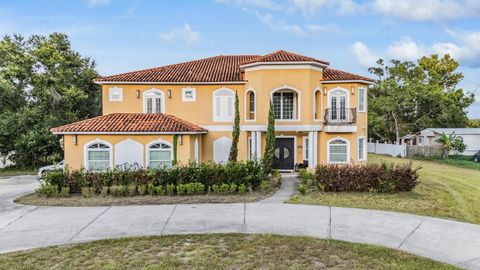 11250 MCMULLEN ROAD RIVERVIEW FL 33569
