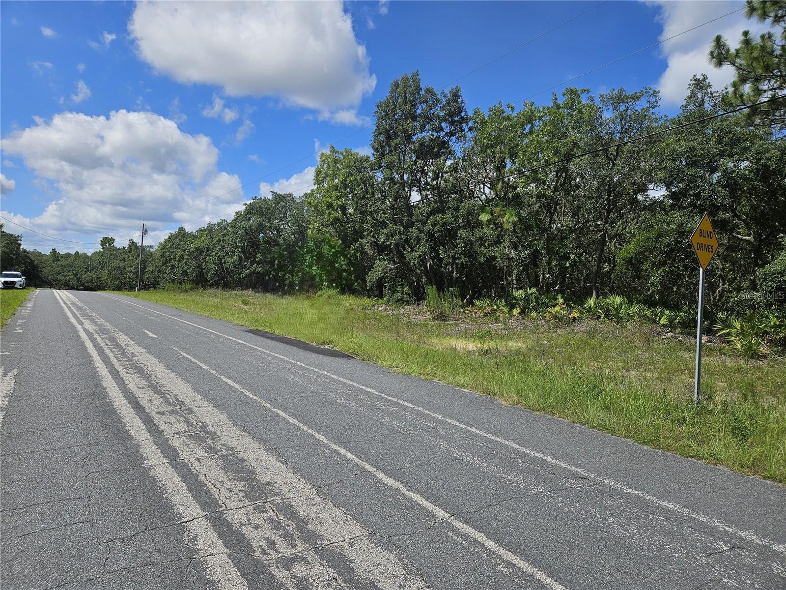 Large vacant lot located near CR 486 entrance to Pine Ridge Estates and a short drive to access the Sun Coast Highway. Community includes lighted tennis courts, shuffle board, activity center, covered playground as well as equestrian trails throughout. The community also allows horses, barns, fencing and additional garages. Just minutes away from medical facilities, shopping and the Crystal River for fishing, swimming and boating. Community allows site-built homes only. Mobile or manufactured homes are not permitted. BUILD YOUR DREAM HOME HERE. Easy access. Property Sold AS IS.