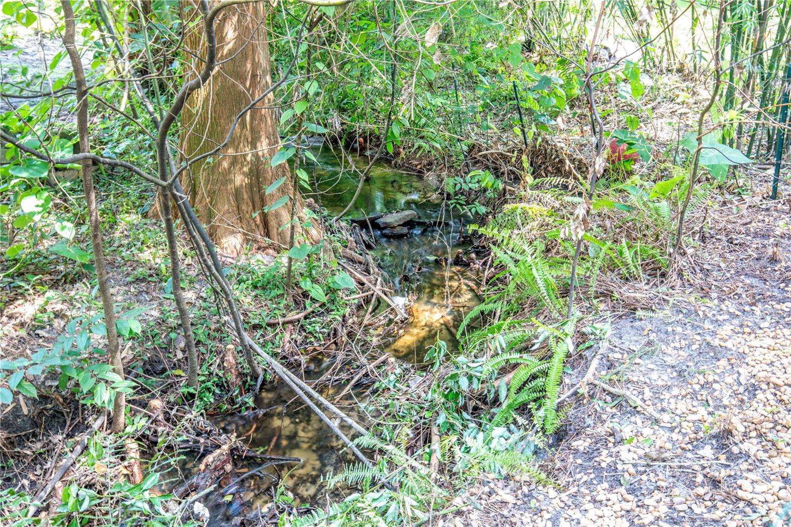 MOUNT DORA LANA - Residential