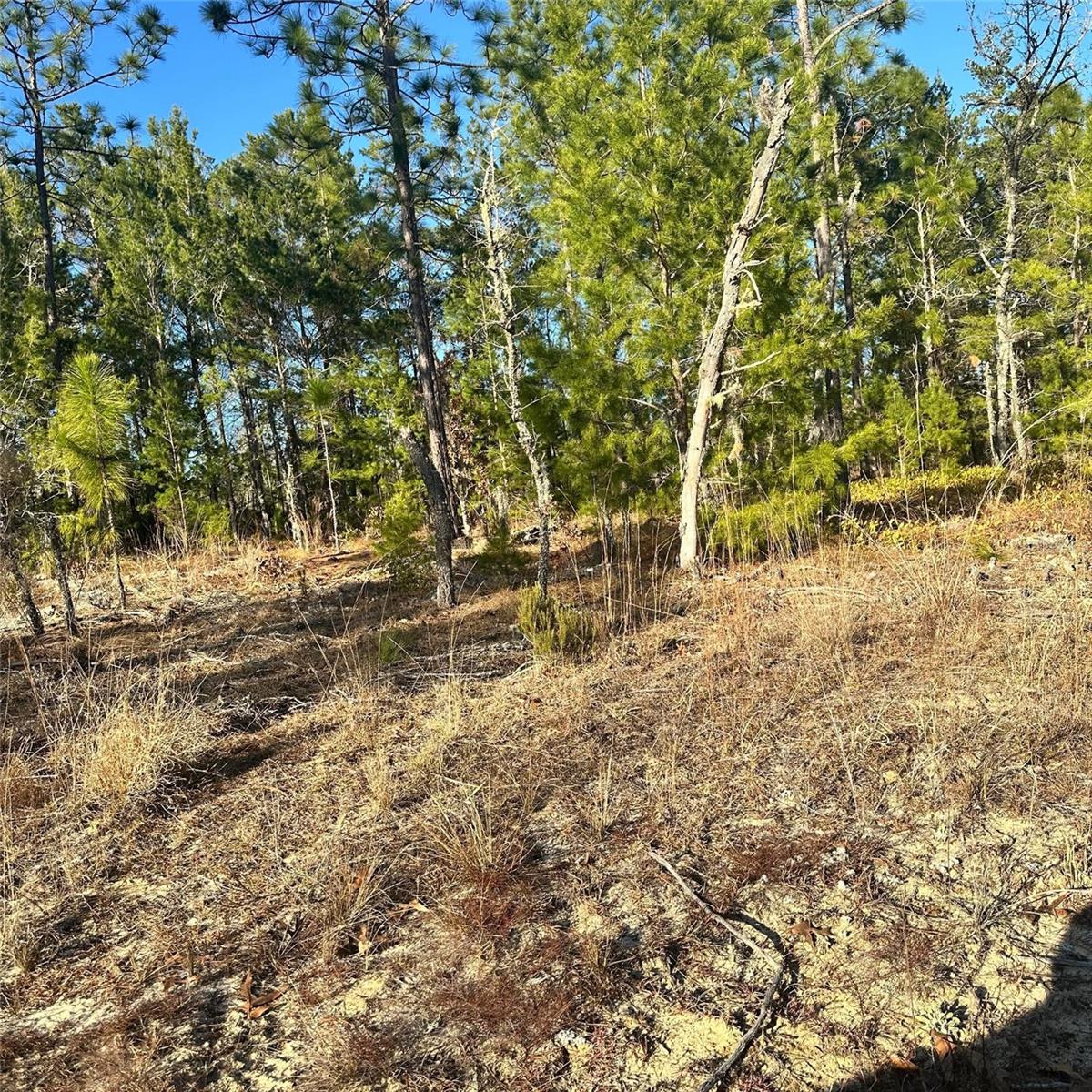 EUREKA SHORES - Land