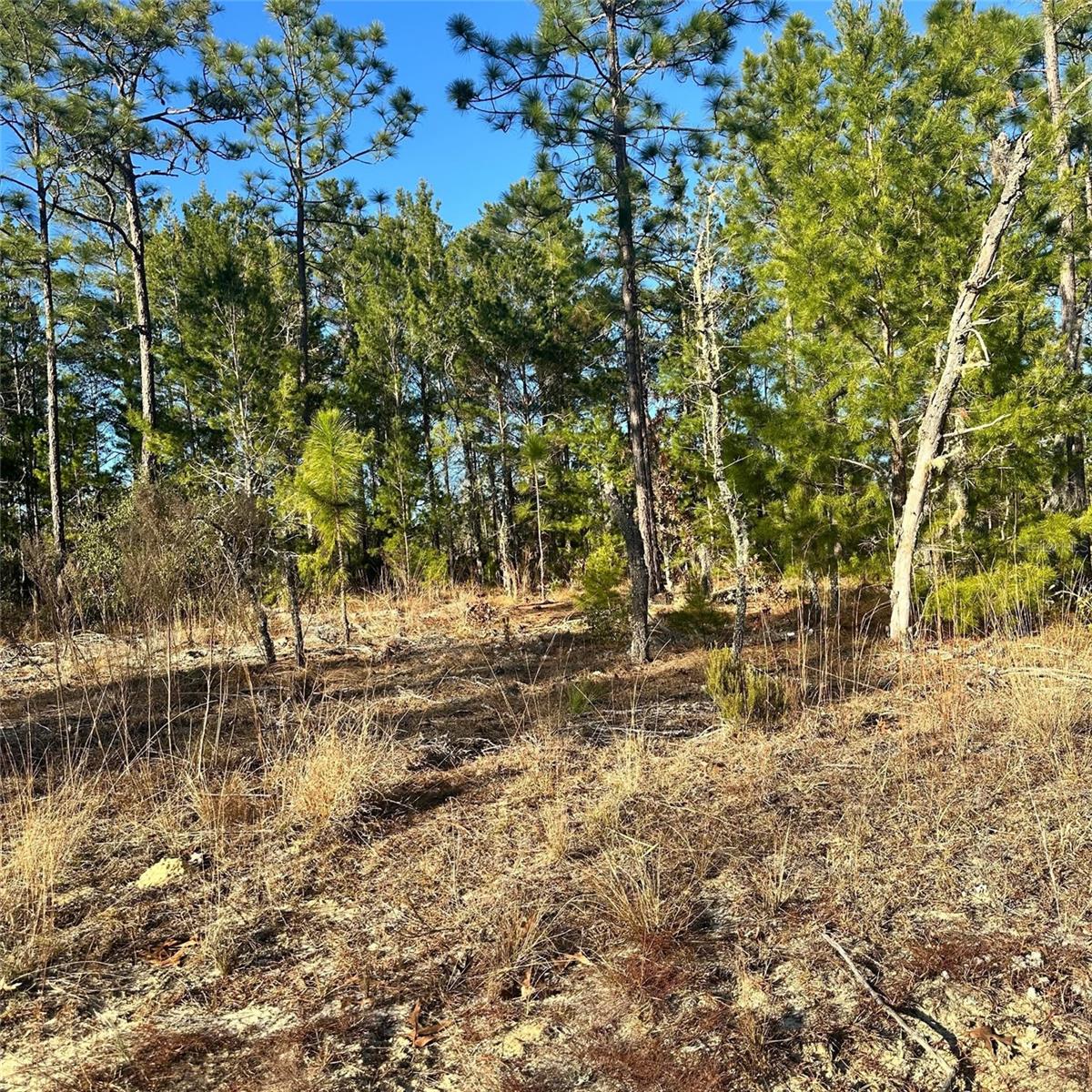 EUREKA SHORES - Land