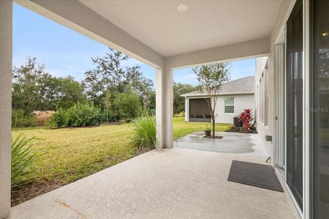 Single Family Residence in SARASOTA FL 2204 MIDNIGHT PEARL DRIVE 39.jpg