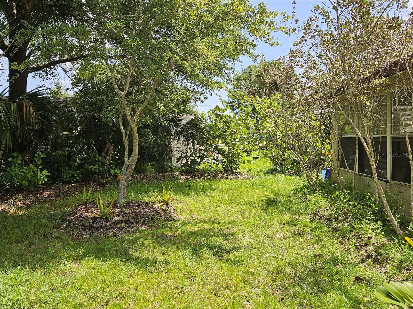 147 MAE STREET