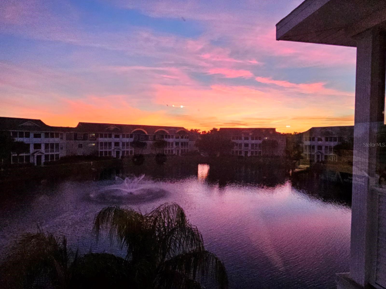 THE PALMS OF CORTEZ - Residential Lease